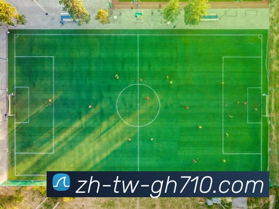 公海710官网服务体系